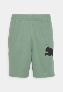 Puma Train All Day Big Cat - Pantalón Corto De Deporte - Eucalyptus/Black -ADIDAS PERFORMANCE Ventas 0026f5d1e29942ceae3d622aca02a56e