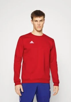 ADIDAS PERFORMANCE Entrada- Sudadera - Tepore